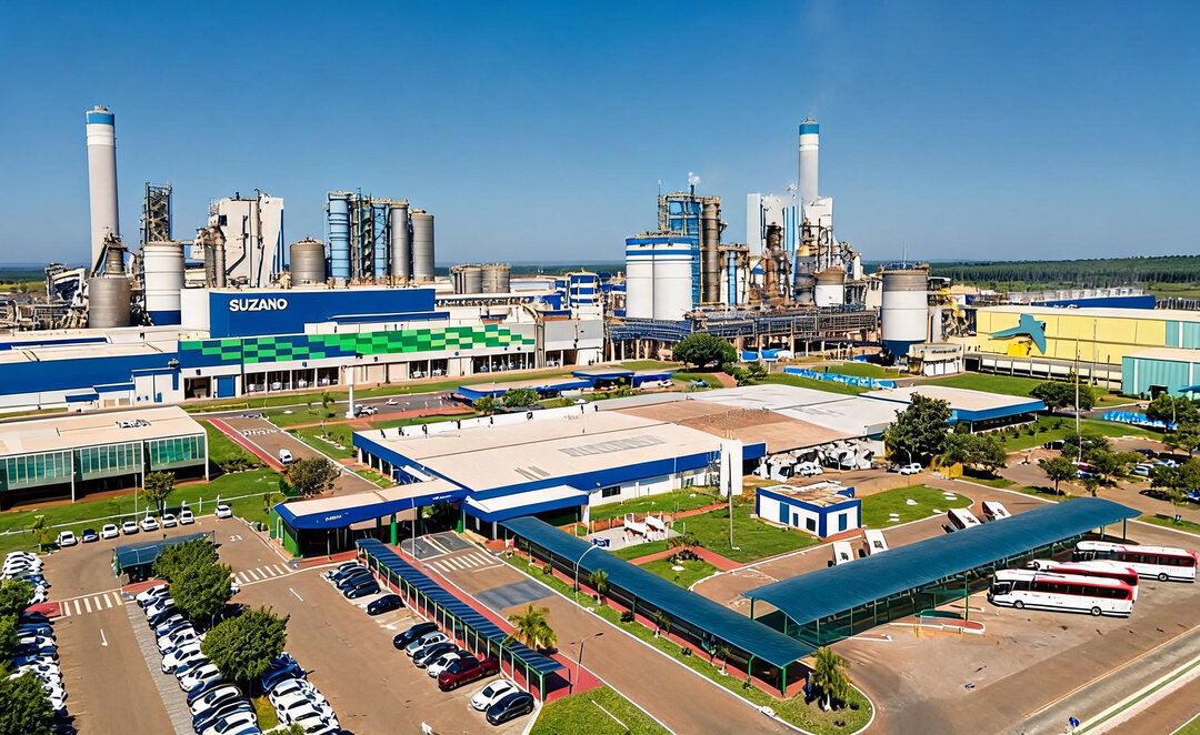 SUZANO CERRADO